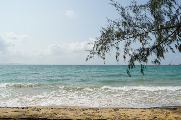 Beach with tree