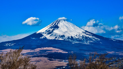 Fototapeta premium Mount Fuji