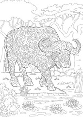 Coloring Page. Coloring Book. Colouring picture with bull (buffalo, bison). 