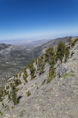Mountain Landscape