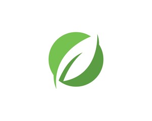 green leaf logo
