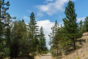 Kettle Valley Railway biking trail through orchards in summer near Penticton British Columbia Canada.