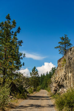Kettle Valley Railway biking trail through orchards in summer near Penticton British Columbia Canada.