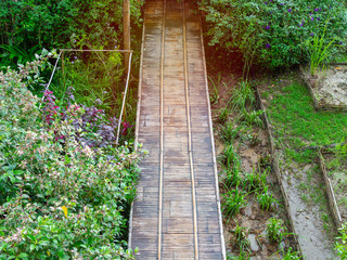 Obraz premium Bamboo Bridge