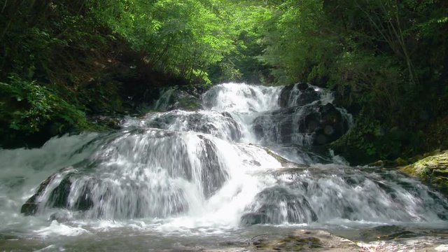長野県軽井沢 初夏の魚止めの滝