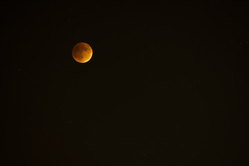 Blood Moon
