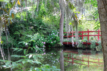 Red bridge over water in forest