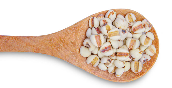 Job's tears or  Coix Lachrymal  adlay in wooden spoon is a very nutritious cereal. The seeds are rich in minerals, vitamins, dietary fiber, and essential amino acids. in clude clipping path