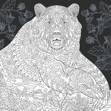 Bear coloring book page