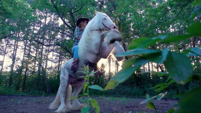 Young girl in cowboy hat riding a white horse. The stallion rises to his hind legs.