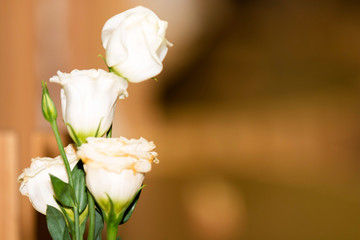 white flowers in the room