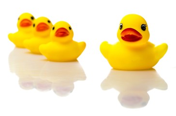 Rubber Ducks Family