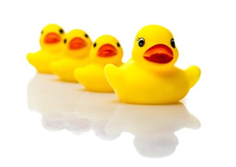 Rubber Ducks Family