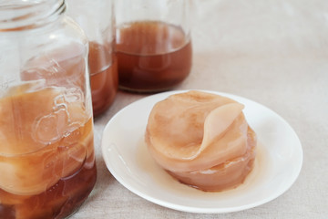 Kombucha mushroom SCOBY, Fermented tea, Probiotic food