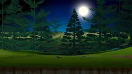 A forest in dark night