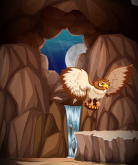 Owl hunting at night in cave