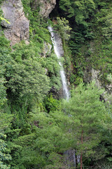 Fototapeta na wymiar 初夏の滝