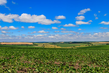 Summer landscape with green fields, hills and blue sky