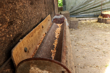 A gutter for grain for hens. Feeder for feed. Suffused earth.