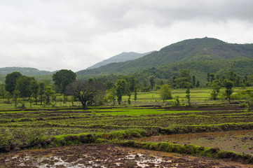 A landscape of field with mountain backdrop