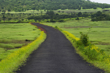 A scenic road in a village Near Ratnagiri city