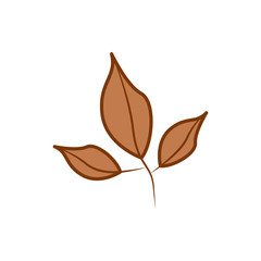 Three Branch Brown Leaf Cartoon Autumn Theme Illustration Design