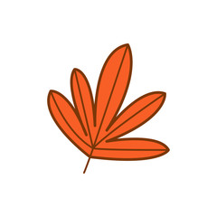 Tropical Orange Dry Cartoon Leaf Autumn Theme Illustration Design