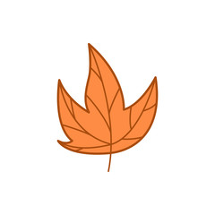 Maple Dry Brown Leaf Autumn Theme Cartoon Illustration Design