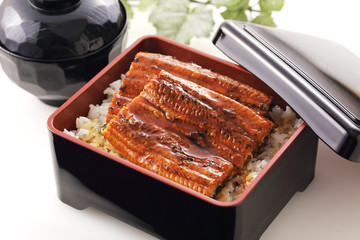 うな重　Unagi Grilled Eel over Rice with Japanese Sauce