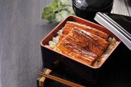 うな重　Unagi Grilled Eel over Rice with Japanese Sauce