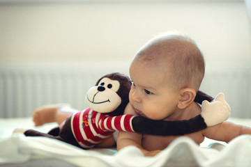 Caucasian girl boy infant newborn baby with stuffed monkey hug toy tummy time wimdow light