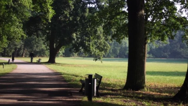 walk in the park