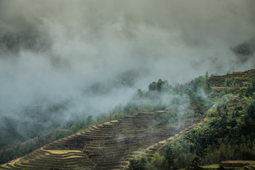 Longji rice terraces in the mist near Dazhai, Guangxi, China