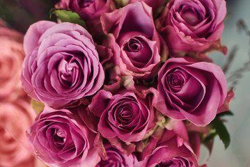 Fototapeta na wymiar Beautiful fresh bouquet. Natural roses background. Retro filter. Festive assorted roses. Various soft roses top view. Unfocused blur rose, abstract romance background, soft flower card.