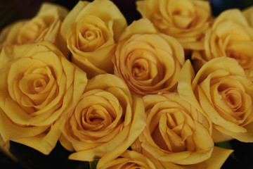 Beautiful fresh bouquet. Natural roses background. Retro filter. Festive assorted roses. Various soft roses top view. Unfocused blur rose, abstract romance background, flower card. Selective focus.