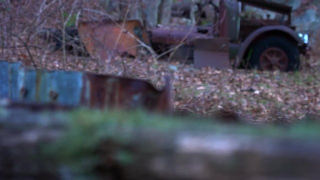 Green lichen growing on a rotting timber in the woods. Rusty metal antique truck is in the background. Focus racks from FG to BG