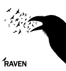 Croaking crow or raven. Vector Illustration for wall decor sticker.