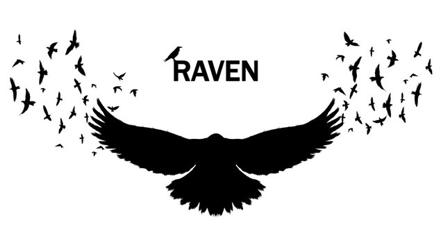Vector image of a silhouette of a raven on a white background. Wall sticker concept illustration.