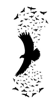 silhouette of a flying raven. vector illustration. vector outline of raven.sticker template