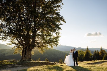 Beautiful bride and groom at the mountains