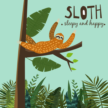 Cute funny sloth hanging on the tree. Sleepy and happy. Adorable hand drawn cartoon animal illustration. Vector cute sloth for greeting card, invites, poster, banner, t-shirt print, background