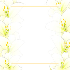 White Lily Flower Banner Card Border