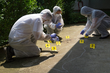 Naklejka na ściany i meble A team of three forensics collects proofs. Crime scene