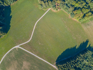 Aerial view of path trough forest in Switzerland