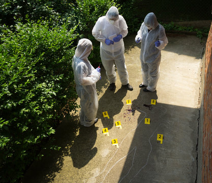 A team of three forensics collects proofs. Crime scene