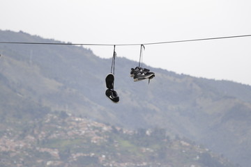 birds pájaros shoes zapatos