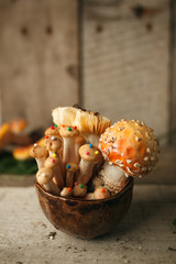Magic Mushrooms and amanita Fly agaric on Wood, Shot on rustic wood in natural light