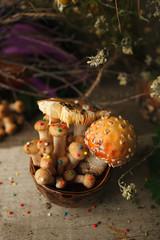Magic Mushrooms. Small Fly agaric Agaric honey magic mushroom in ceramic cup magic potion on wooden background. magic fairy tale halloween background..