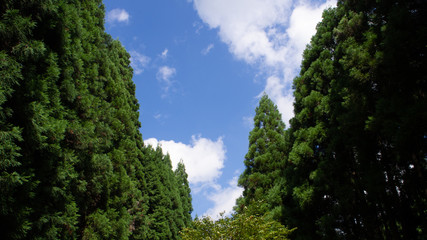 合間のひととき