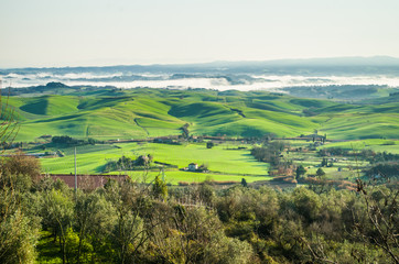 Obraz premium countryside cultivated with fog rising in the morning sunlight
